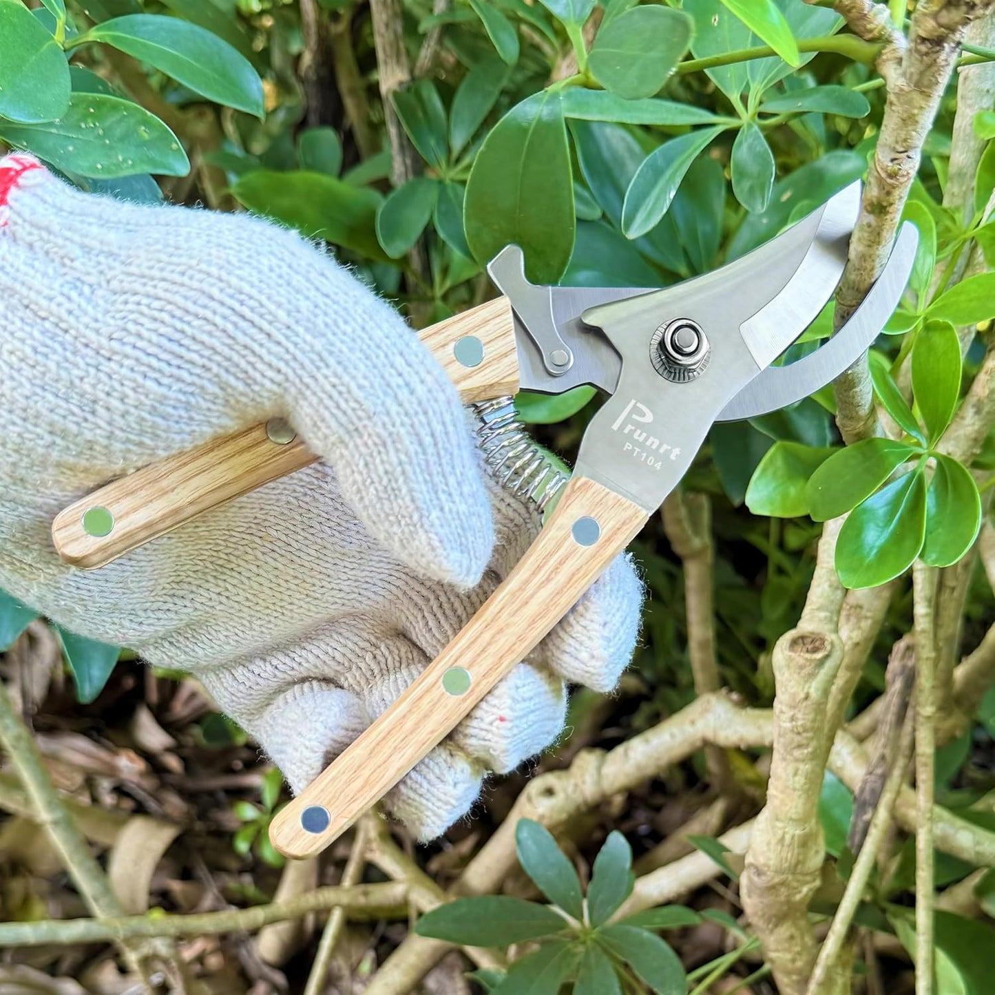 Pruning Shears, 7.5 Inch Garden Shears with 5/8 Inch Cut Capacity, Wood Clip Steel Handle, Professional Garden Clippers and Gardening Scissors, with Spare Spring