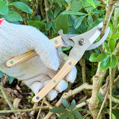 Pruning Shears, 7.5 Inch Garden Shears with 5/8 Inch Cut Capacity, Wood Clip Steel Handle, Professional Garden Clippers and Gardening Scissors, with Spare Spring