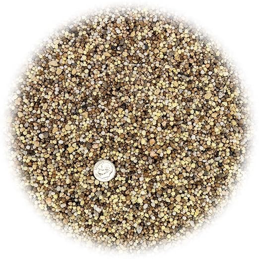 Premium 13-3-13 All-Season Fast Acting Landscape and Ornamental Fertilizer by Gardenera - Promotes Biomass Growth and Vibrant Leaf Color - 1 Quart