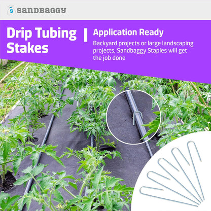 Sandbaggy 1000-Pack DRIP TUBING Stakes Landscape Staples | 5 inch Length - 11 Gauge Heavy Duty | Drip Anchors | Landscape Pins | Garden Lawn Nails | Designed to Hold Drip Tubing Up to 1/2" Diameter