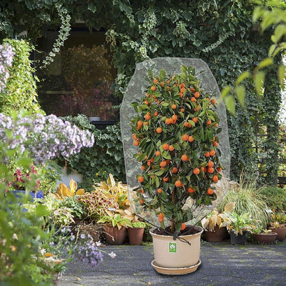 Alpurple 3 PCS Insect Bird Barrier Netting Mesh with Drawstring- 3.2 x 2.6 Feet Fruit Tree Net-Garden Netting Plant Cover for Protect Plant Fruits Flower from Insect Bird Eating