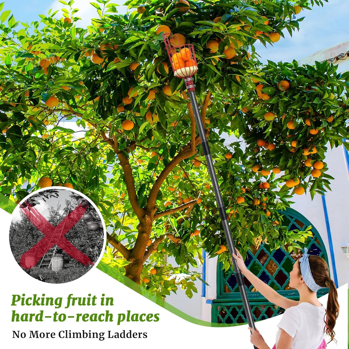 Fruit Picker, Fruit Picker Pole with Basket Extendable Long Handle, Easy to Assemble & Use Fruits Picker Tool for Orange Lemon Apple Mango Avocado (13FT)