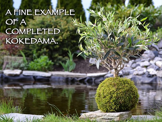 Kokedama soil (1kg)