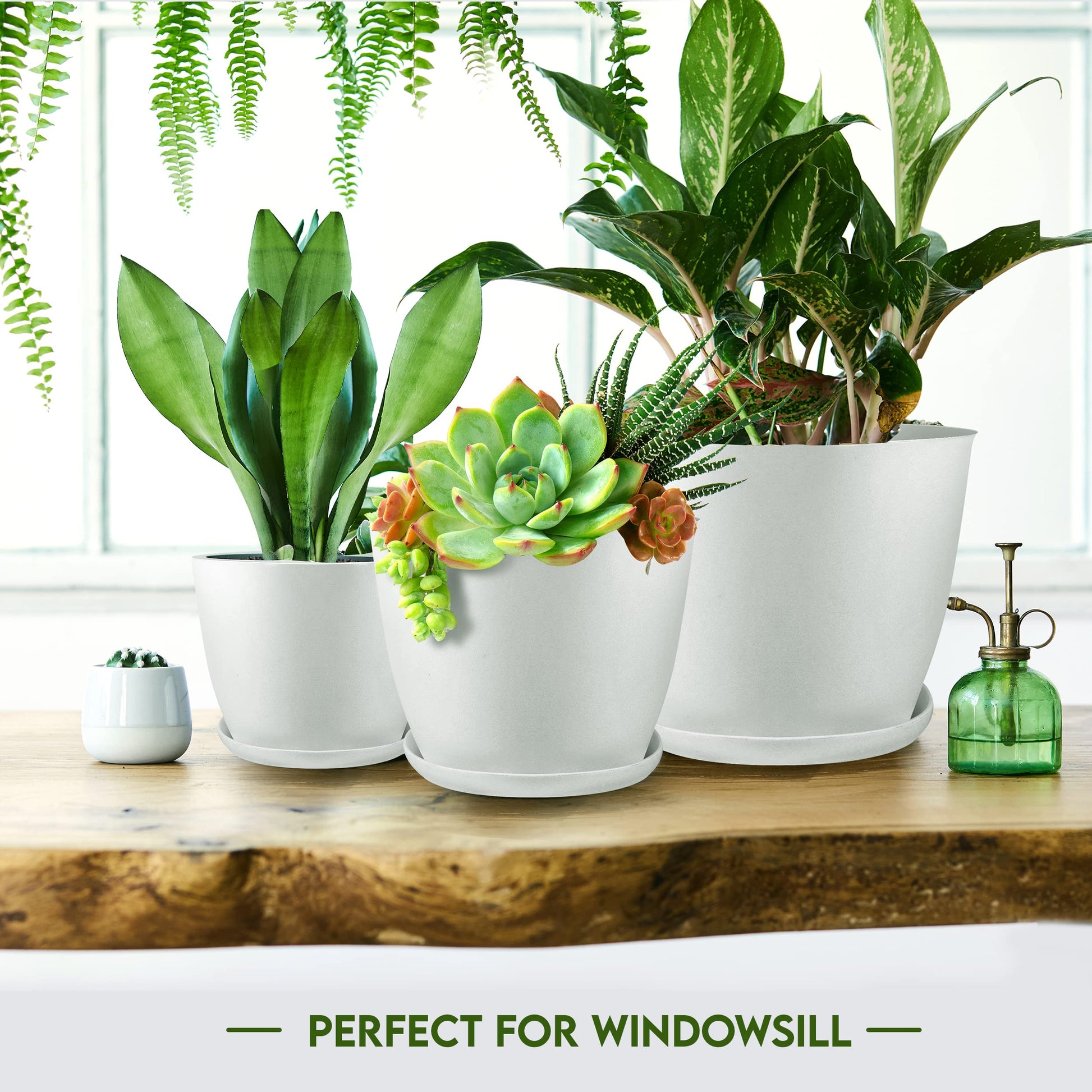 Plant Pots Indoor with Drainage, 5 Pack Multi-Size Planters Set, White