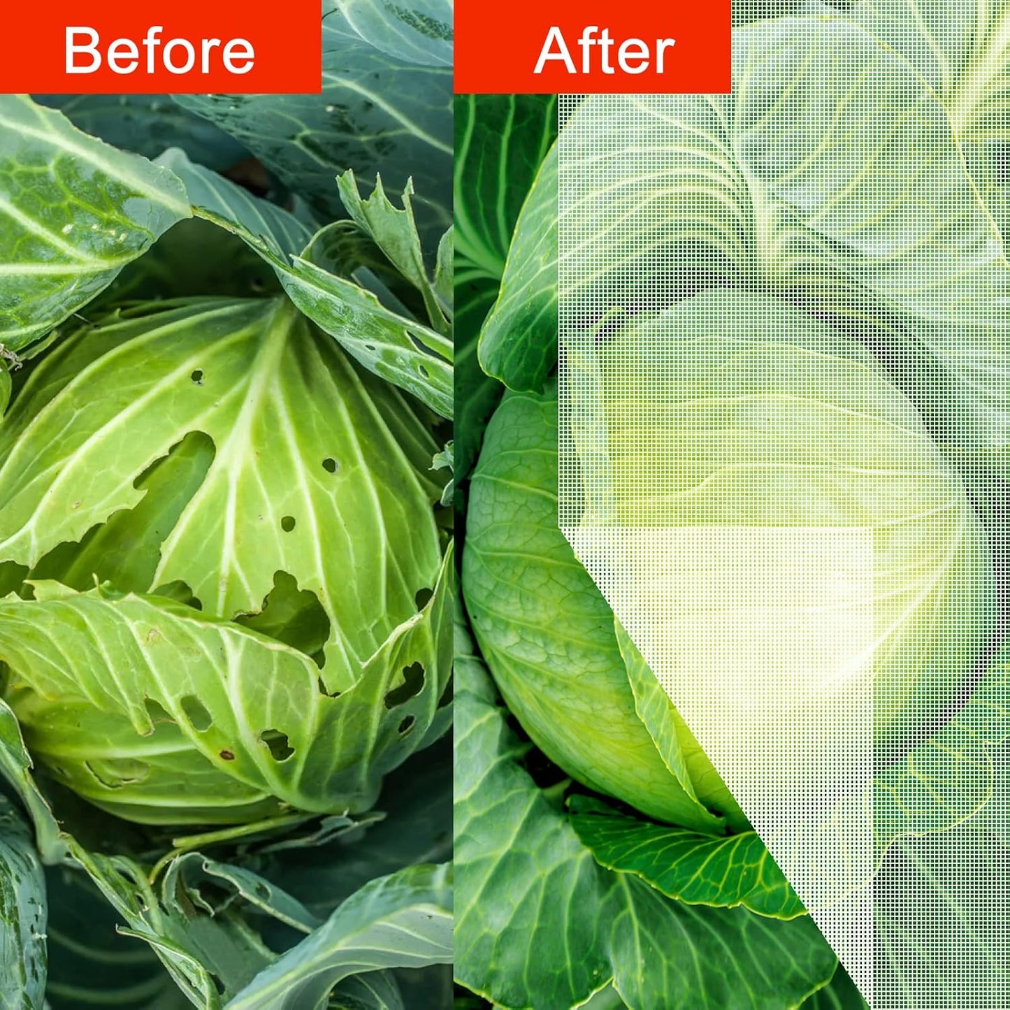 Agfabric Bird Netting 30" Hx60 W Garden Netting Insect Pest Barrier,Plant Cover Fruit Tree Netting Mesh Protection Bag with Drawstring,White,3 Pack