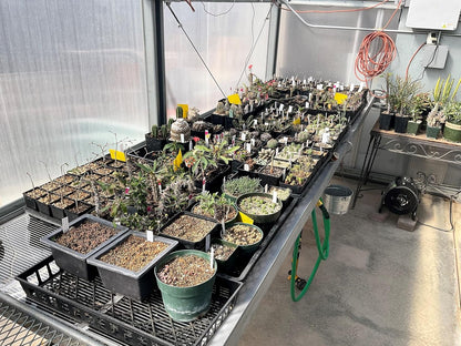 Propagation Mats Original from Manufacturer Size 11" x 48" in. for Reptiles and Seedling mats