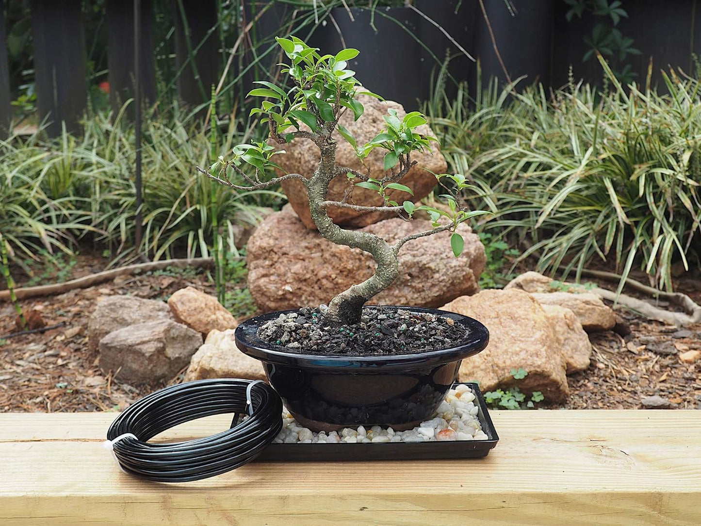 Anodized Aluminum 3.0mm Bonsai Training Wire 250g Large Roll (40 feet) - Choose Your Size and Color (3.0mm, Black)