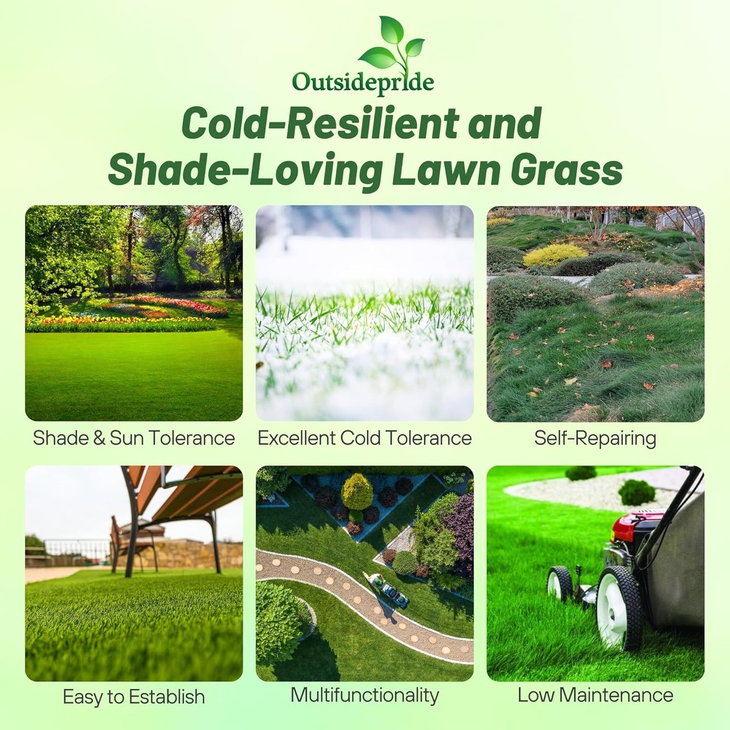 Outsidepride Creeping Red Fescue Grass Seed - 10 Lbs. Cool Season, Soft Textured, Self-Repairing Fine Fescue Grass Seeds for Lawn w/OptiGrowth Coating, Ideal for Dryland Cover Crop & Landscaping