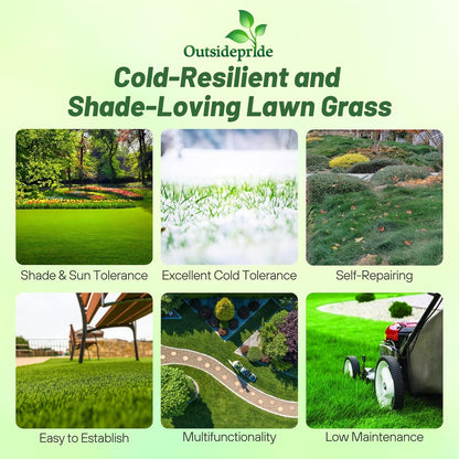 Outsidepride Creeping Red Fescue Grass Seed - 25 Lbs. Cool Season, Soft Textured, Self-Repairing Fine Fescue Grass Seeds for Lawn w/OptiGrowth Coating, Ideal for Dryland Cover Crop & Landscaping