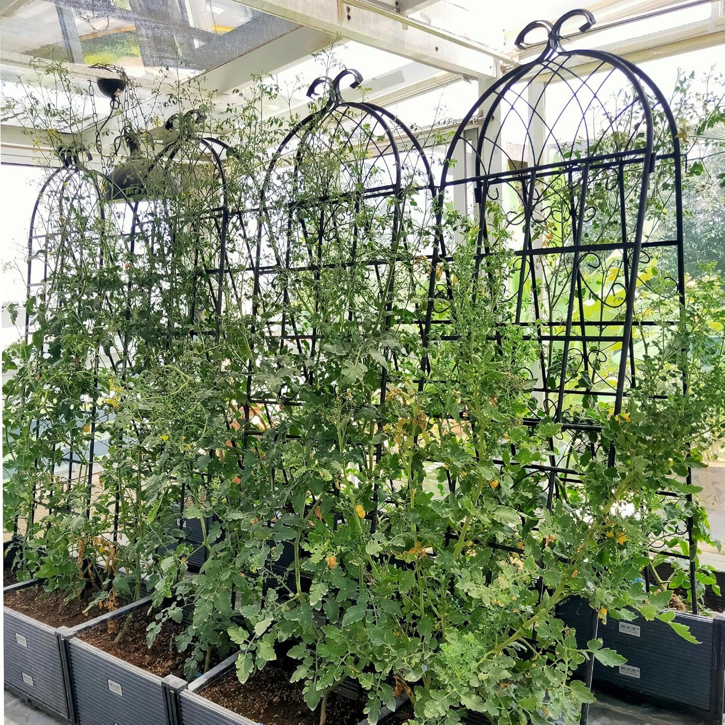 8 Pack Metal Garden Trellis 71" H Garden Fence Rustproof Trellis for Climbing Plants Support Roses Flower Outdoor Lawn Black