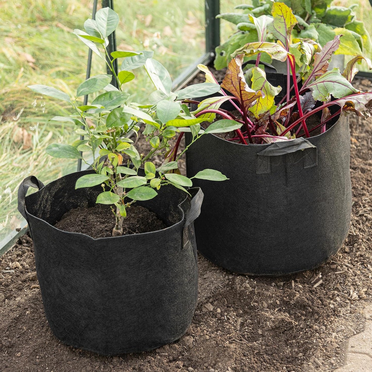 OwnGrown Plant Growing Bags : 5x8 Gallon Plant Grow Bags for Balcony or Garden Plants – Potato Grow Bags – Water-Permeable Garden Planters – Vegetable Planters for Outdoor Plants Outdoor Planter