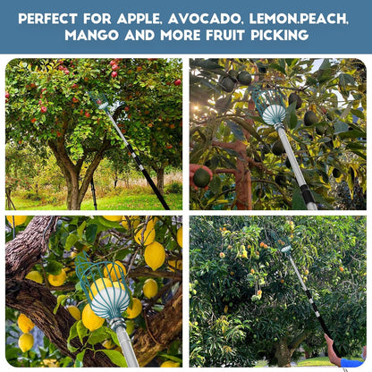 12FT Telescoping Fruit Picker (20+ Foot Reach) | Lightweight High-Grade Aluminum Extension Pole with Easy Attach Twist-On Apple Basket | Durable Fruit Picking Tool