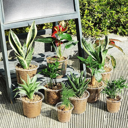 60 Pack 3.5/4/5 Inch Clear Nursery Pots with Drainage Holes, Transparent Plastic Pots for Plants, Reinforced Seed Starter Pots Garden Pots Flower Pots Come with 50pcs Plant Labels