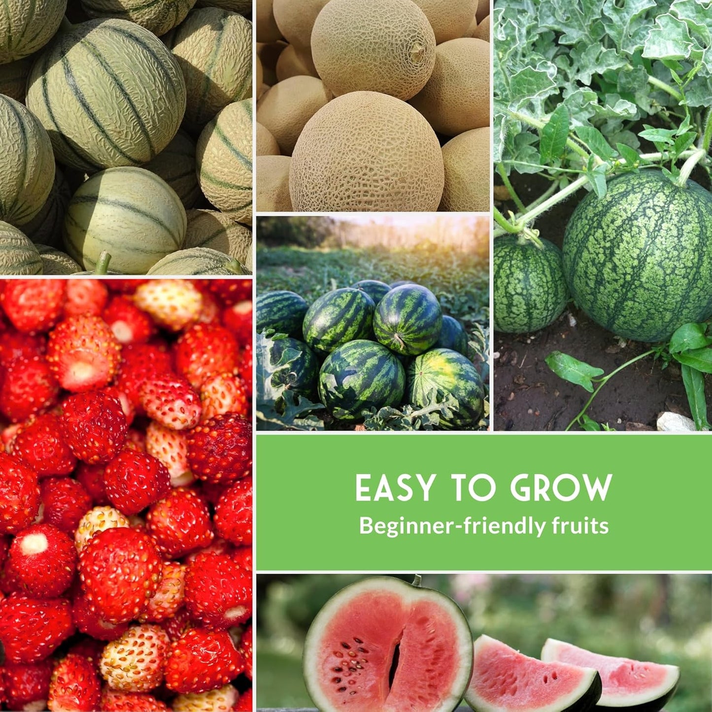 Fruit Seeds for Planting - 8 Variety Pack | Watermelon, Cantaloupe, Melon, Strawberry, Cucamelon for Home Vegetable Gardens - Non-GMO Heirloom Fruits - Survival Garden Seeds