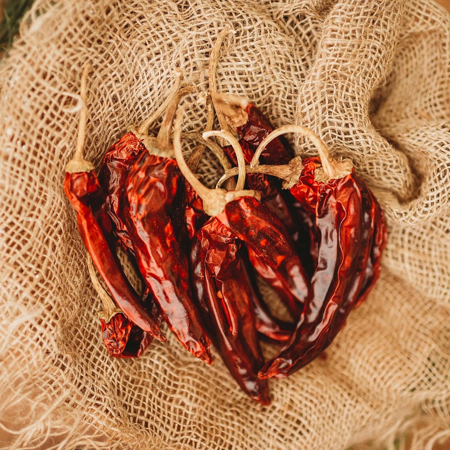 Guajillo Chile Pepper - 25 Seeds - Mexican Heirloom & Open-Pollinated Variety, Non-GMO Vegetable Seeds for Planting in The Home Garden, Thresh Seed Company