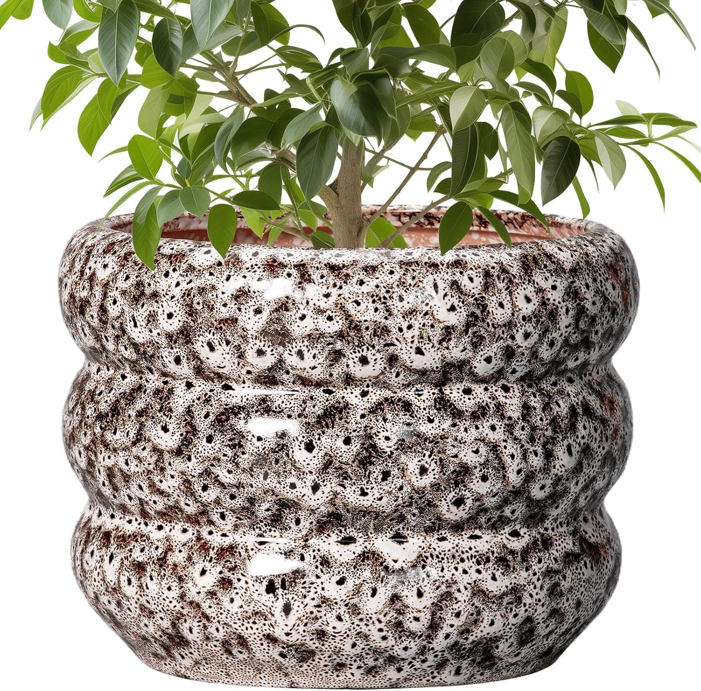 SQOWL Ceramic Pots for Plants - 10 Inch Plant Pot with Drainage Hole, Ceramic Planter for Indoor Plants, Round Flower Pots Outdoor, Modern Planter, House Home Room Decor, Gifts for Plant Lover, White