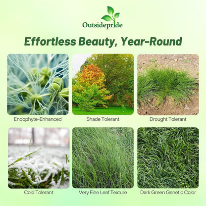 Outsidepride Hard Fine Fescue Grass Seed - 10 lbs. Low-Growing, Drought & Shade-Tolerant, OptiGrowth Coated Seed for Lawn & Turf, Ideal for Low-Maintenance, Dense, & Resilient Green Ground Cover