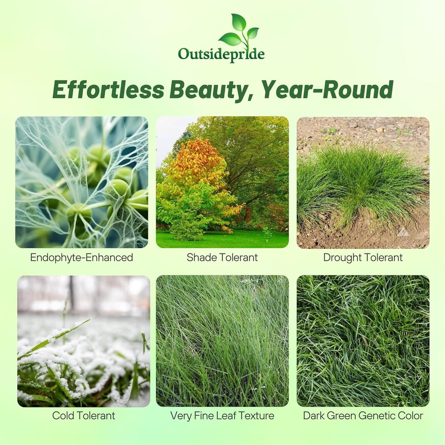 Outsidepride Hard Fine Fescue Grass Seed - 25 lbs. Low-Growing, Drought & Shade-Tolerant, OptiGrowth Coated Seed for Lawn & Turf, Ideal for Low-Maintenance, Dense, & Resilient Green Ground Cover