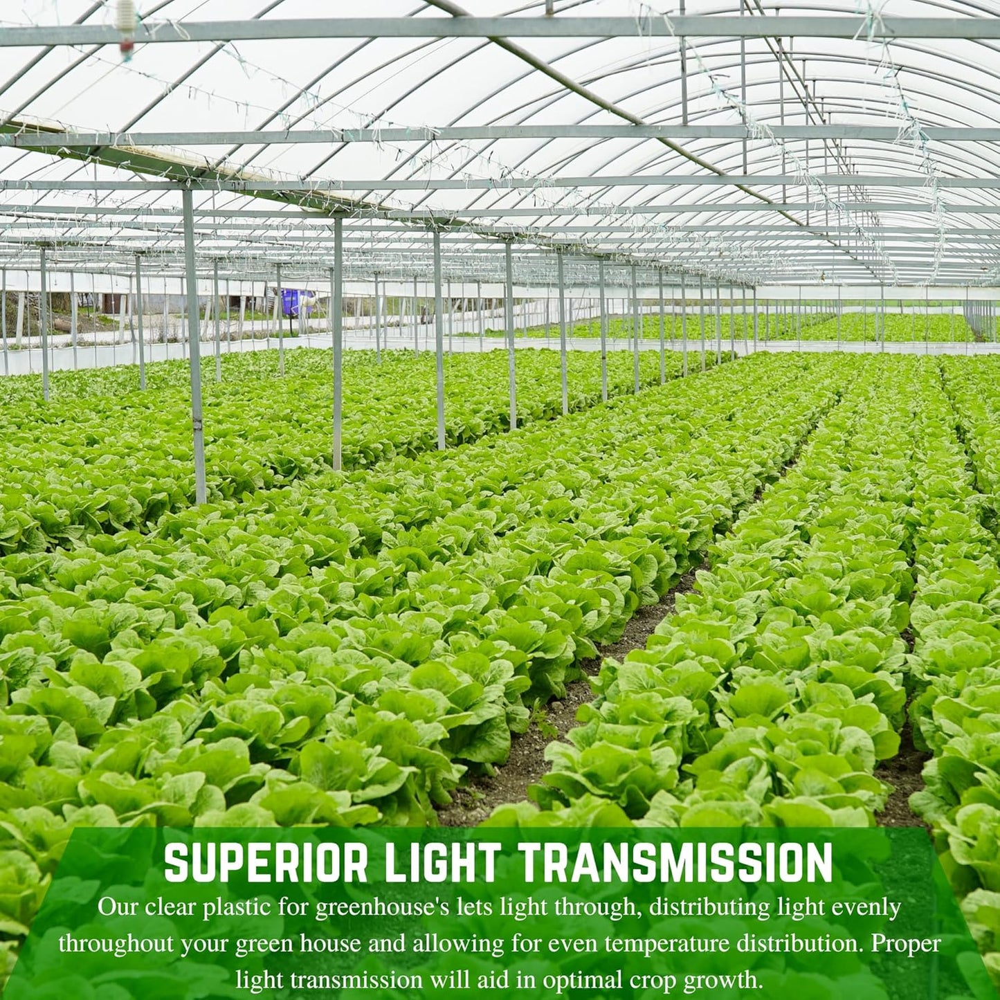 Farm Plastic Supply - String Reinforced 4 Year UV Resistant 10 mil Clear Greenhouse Plastic Sheeting - 4 Year UV Resistant Polyethylene Greenhouse Film, Hoop House Green House Cover (12' x 60')