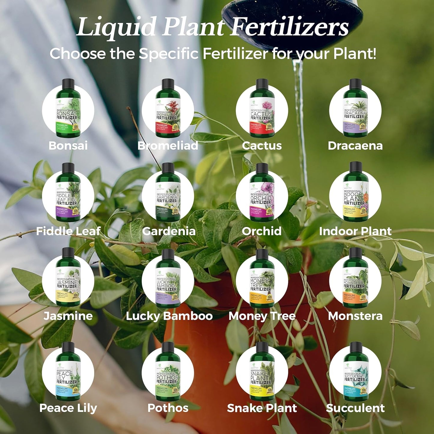 Professional Liquid Bonsai Plant Fertilizer | 3-1-2 Concentrate for Bonsai Plants and Trees | Multi-Purpose Blend & Gardening Supplies | 8 oz Bottle