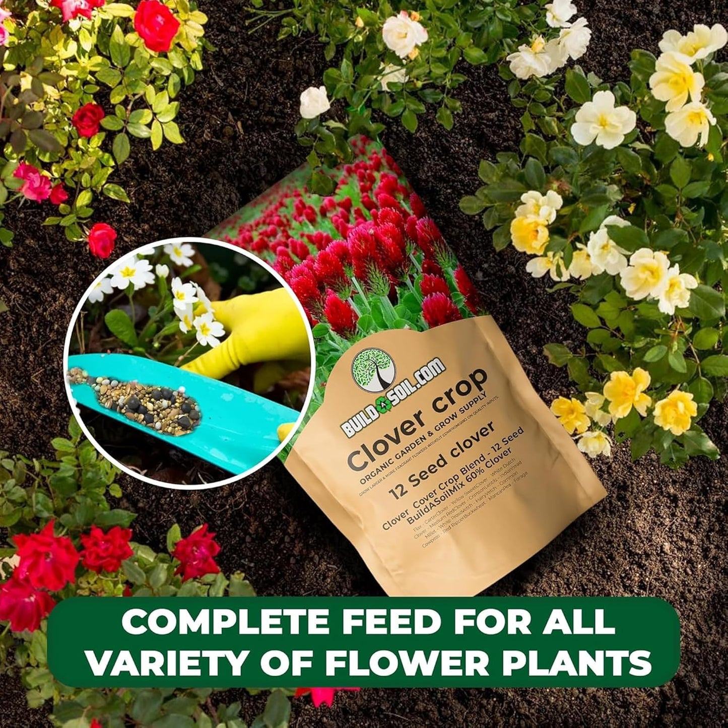 BuildASoil No-Till Clover Seed Cover Crop Blend 12 Species Cover Crop Seed Mix Premium Clover Seeds for Lawn - Plants Friendly Cover Crop for Garden - 60% Clover (3 lb Bag)