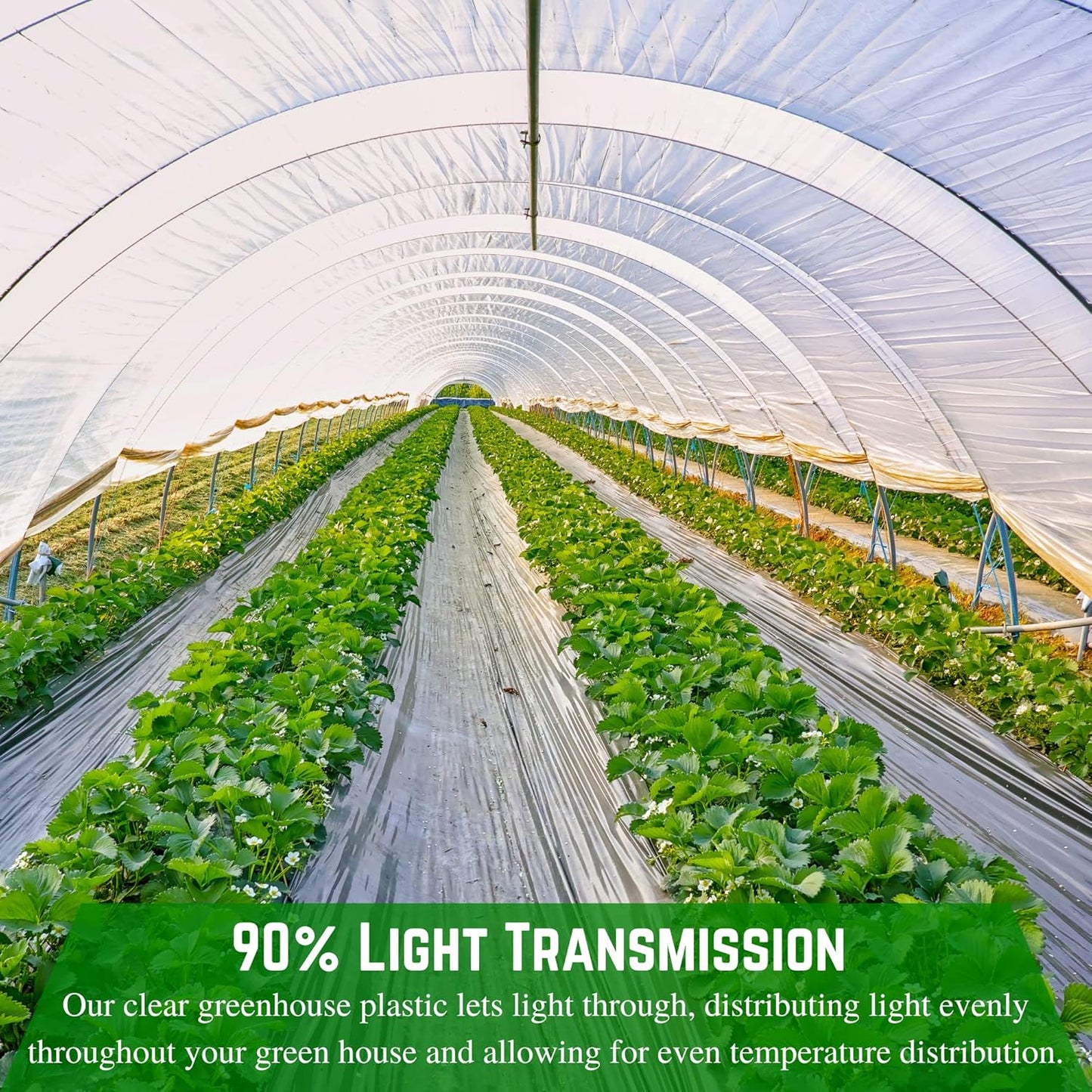 Farm Plastic Supply - Clear Greenhouse Plastic Sheeting - 6 mil - (25' x 30') - 4 Year UV Resistant Polyethylene Greenhouse Film, Hoop House Green House Cover for Gardening, Farming, Agriculture