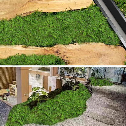 2 Pcs Preserved Sheet Moss for Potted Plants 2 sq.ft. Dried Natural Preserved Moss Mat Green Moss Sheets for Planters Crafts Woodland Decor Garden Party Decorations Wall Art DIY Project Green