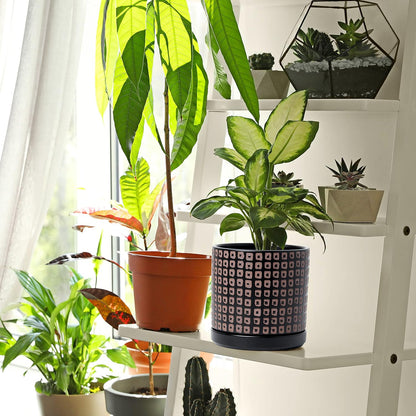 D'vine Dev Set of 2 Ceramic Planter Pots with Drainage Hole and Saucer, 6 Inch Plant Pots for Plants Indoor Houseplants, Black, 99-Z-A-2-Y