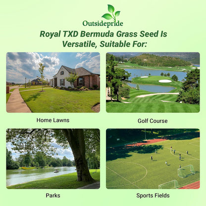 Outsidepride Royal TXD Bermuda Grass Seed Blend - 1 lb. Warm Season, Fast Growing Turf Grass Seeds: Heat & Drought Tolerant, Ideal for Home Lawns & Sports Fields, Dense & Lush Green Coverage