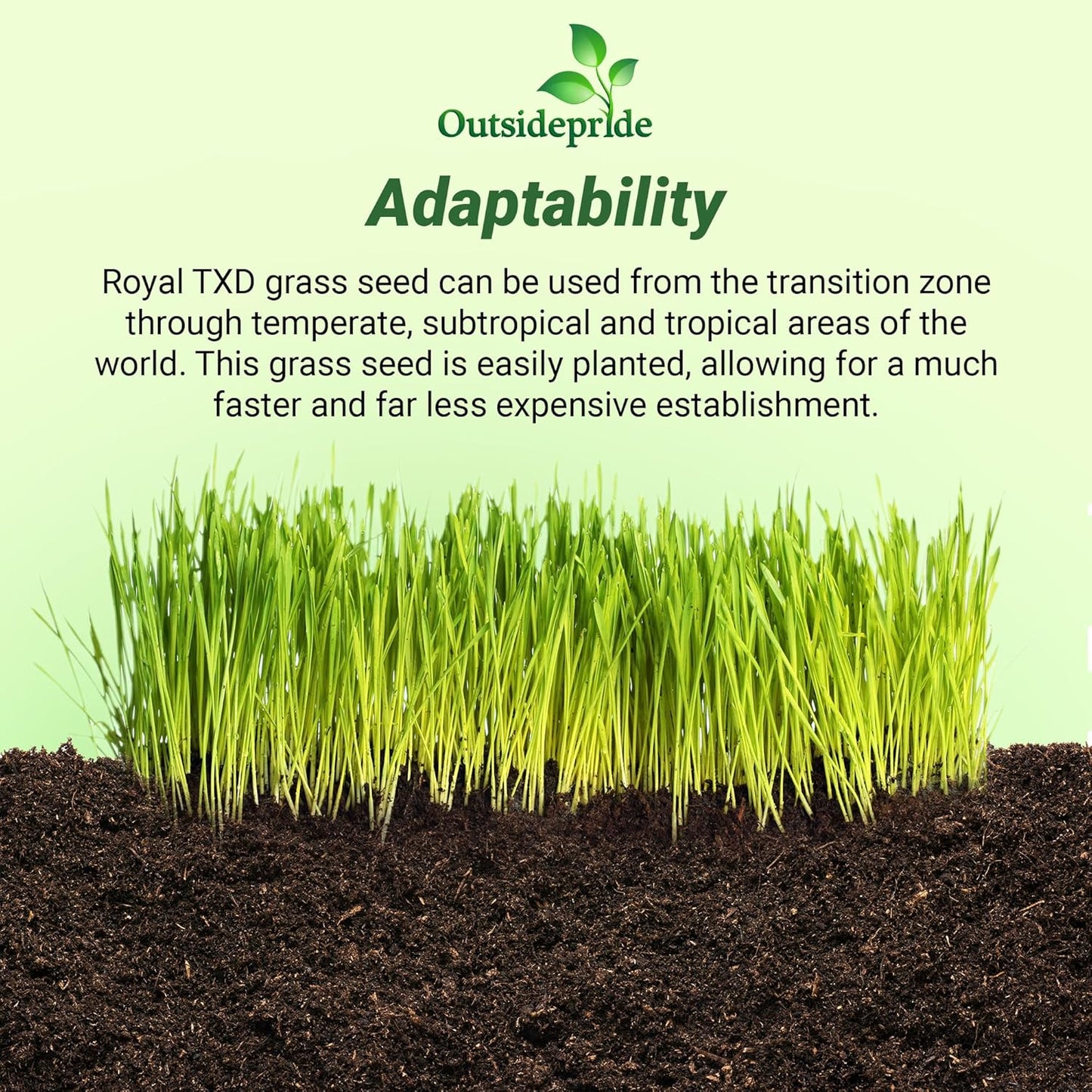 Outsidepride Royal TXD Bermuda Grass Seed Blend - 10 lbs. Warm Season, Fast Growing Turf Grass Seeds: Heat & Drought Tolerant, Ideal for Home Lawns & Sports Fields, Dense & Lush Green Coverage