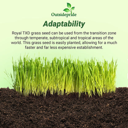 Outsidepride Royal TXD Bermuda Grass Seed Blend - 2 lbs. Warm Season, Fast Growing Turf Grass Seeds: Heat & Drought Tolerant, Ideal for Home Lawns & Sports Fields, Dense & Lush Green Coverage