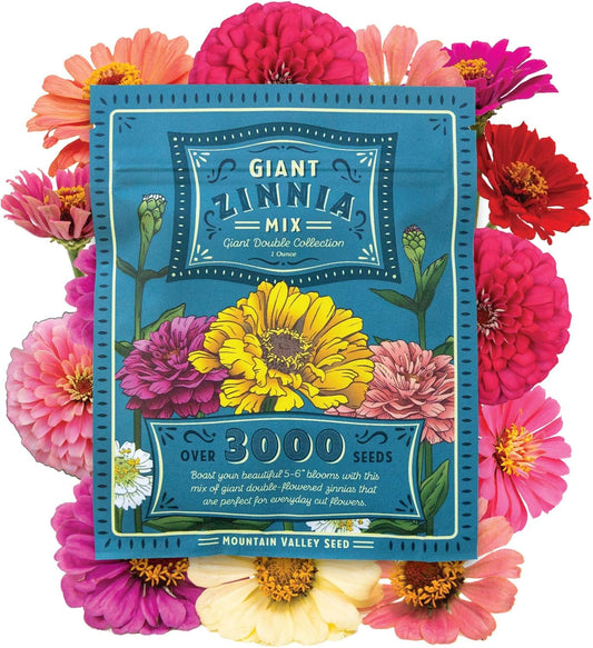 Zinnia Flower ~ 3000 Seeds California Giant Mix & Lilliput Semi-Dwarf Mix – Heirloom, Non-GMO Annuals – Colorful Blooms for Pollinators & Cut Flowers – Easy to Grow, Heat & Drought Tolerant