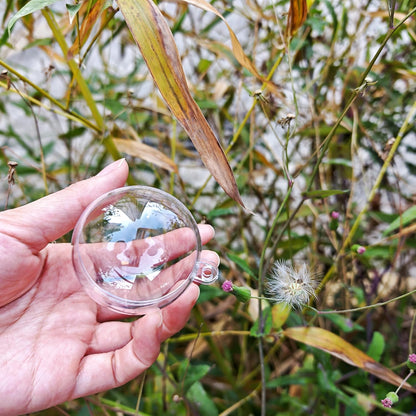 Acrylic Hollow Ball, Clear Plastic Fillable Ornaments Ball, DIY Clear Plastic Balls for New Years Present,Xmas Tree,Home Decoration,Wedding,Party (6cm/2.36inch,20pcs)
