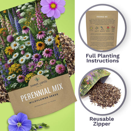 Perennial Wildflower Seeds Mixture - Bulk 1/4 Pound Bag - Over 60,000 Pure Live Seed - Open Pollinated and Non GMO