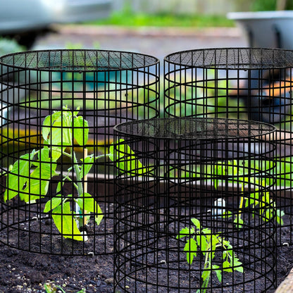 Hi Sasara 5 Sets Wire Plant Protectors Cage with Staples,11.8" Dia x 11.8" H,Plant Protector with Round Lids to Keep Animals Out,Wire Plant Protector Cage for Plants Vegetables Flower