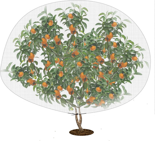 6.2 x 8.2 Feet Insect Bird Barrier Netting Mesh with Drawstring, Garden Bug Netting Plant Cover for Protect Plant Fruit Flower from Insect Bird