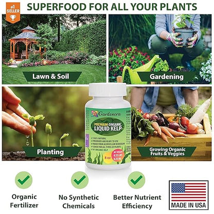 Natural Liquid Seaweed Premium Concentrate - 16 oz - Organic Plant Superfood for Gardening - Kelp Extract for Gardens, Lawns, Plants & Soil