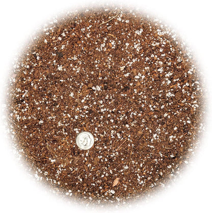GARDENERA Premium Organic Potting Soil - 1 Quart - The Ideal Growing Medium for Delicious and Nutritious Homegrown Potatoes
