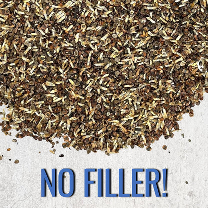 Seed Needs Low Growing Wildflower Flower Seeds for Planting | 10 Packs (1 Ounce Each) Mixture/Blend 17 Varieties | Resealable Package Multicolored Blooms Open Pollinated Mixed Species | Bulk