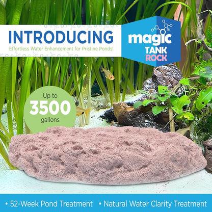 Fish Tank Rocks for Enhancing Water Clarity with Your Regular Cleaning Routine, Fish Friendly Aquarium Rocks, All Natural Aquarium Decor, Small, Up to 750 Gallons