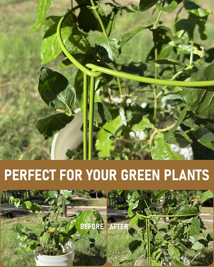 10-Pack Heavy Duty Garden Plant Stakes, 4.2mm Steel Plant Supports for Tomato Cages, Monstera, Peonies - Indoor Outdoor Stakes for Potted Trees & Flowers, 10" W x 15.8" H (Mint Green)