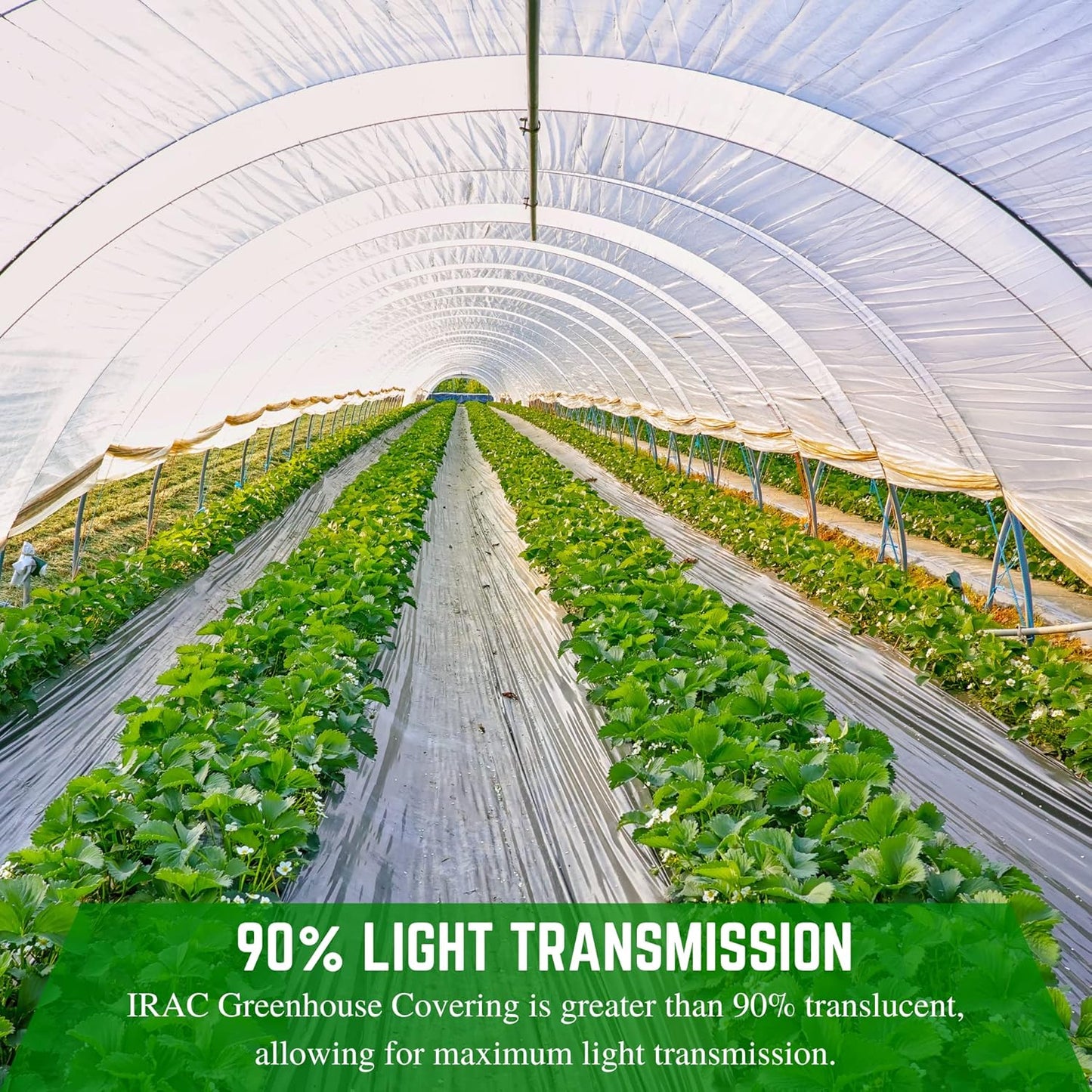 Farm Plastic Supply - Clear IRAC Greenhouse Plastic Sheeting - 6 Mil - (50' x 80') - 4 Year UV Resistant Infrared Anti-Condensate Green House Covering Thermal Greenhouse Plastic 6 mil