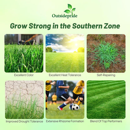 Outsidepride Combat Extreme Southern Zone Grass Seeds for Lawn - 50 lbs. SPF 30 Heat & Drought Tolerant Mix of Turf Type Fescue & Hybrid Bluegrass Seed with OptiGrowth Coating Enhanced Germination
