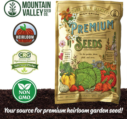 No-Till Forage Friendly Cover Crop Seed Mix – 5 lb, Covers 1,000 Sq. Ft. – 9 Winter-Kill Varieties for Spring, Summer & Fall – Non-GMO Planting Seeds