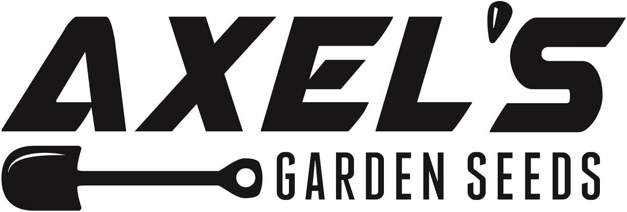 Scarlet Red Kale Seeds for Planting – Plant & Grow Heirloom Scarlet Red Kale in Home Outdoor Vegetable Garden, Brassica oleracea – 3 Packets
