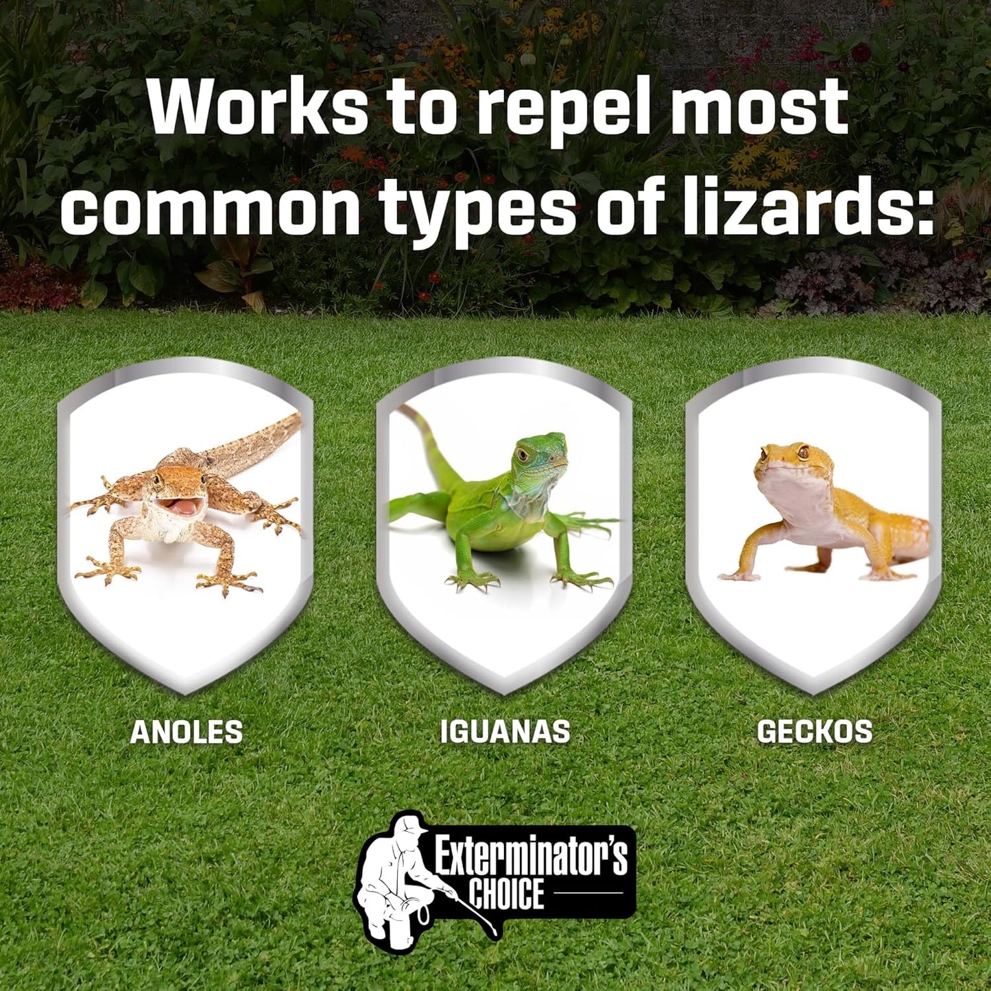 Exterminators Choice Gecko & Lizard Defense Spray - 1 Gallon (128 Fl Oz) White Unscented - Natural Essential Oils Formula for Lizard Extermination - Safe Around Kids & Pets - Made in USA