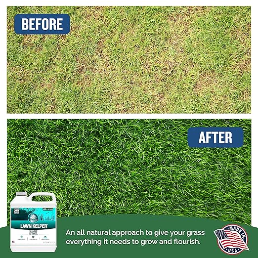 Turf Titan Lawn Kelper Hose End – Lawn & Plant Fertilizer - Liquid Fertilizer with Seaweed Kelp Extract for Lush, Greener Grass - Safe, Non-Toxic Seaweed Fertilizer – Covers Up to 8000 Sq Ft