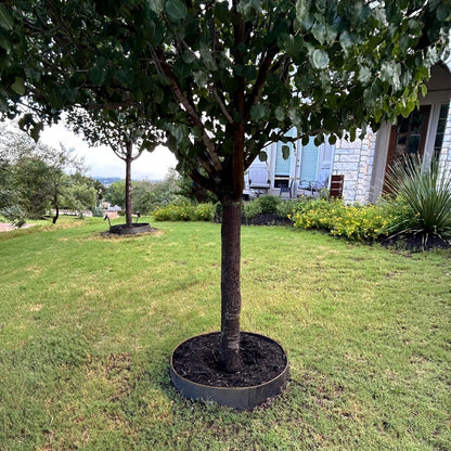Circular Tree Ring Edging Kit - COR-Ten Steel - Landscape Edging