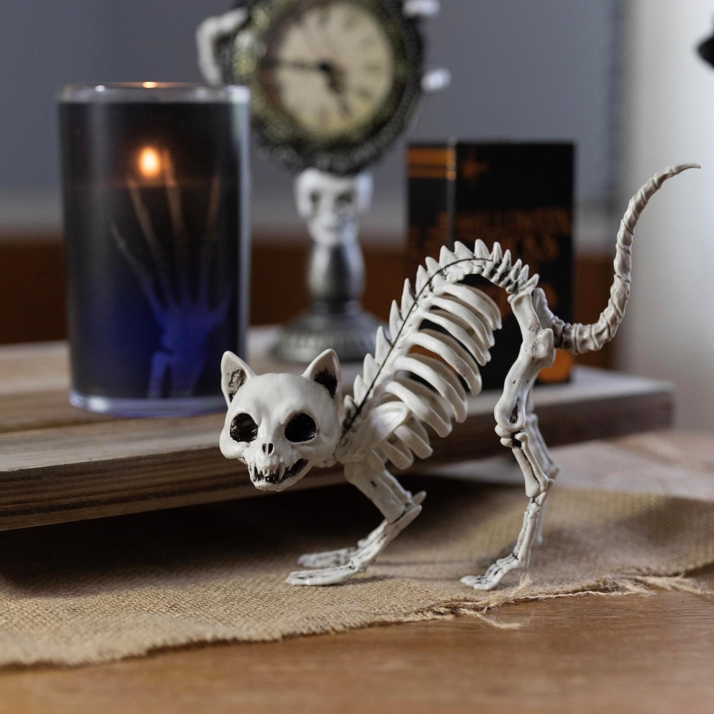 SCS Direct Kitten Skeleton Halloween Decoration (3 Pack)-7.5" Long-Weather Resistant - Upgrade Your Fall Graveyard Haunted House Party Props, Trick-or-Treat Decor, School Classroom