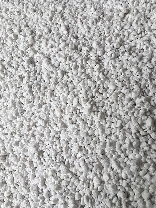 Natural Horticultural Perlite (1 Quart)